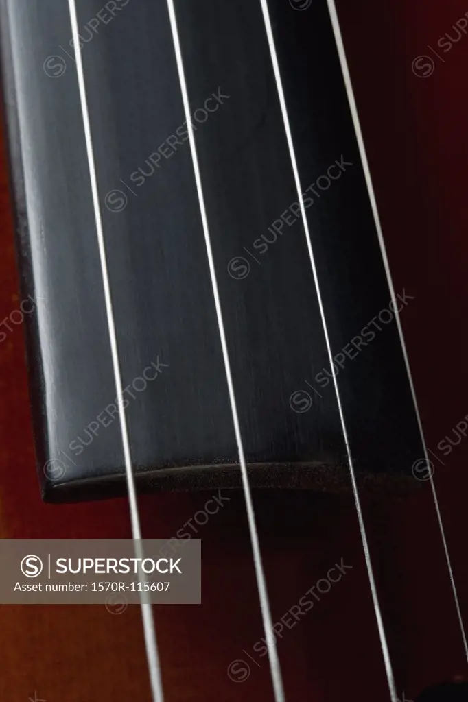 Detail of a cello
