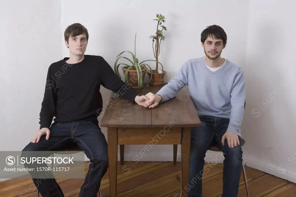 Young gay couple holding hands across table