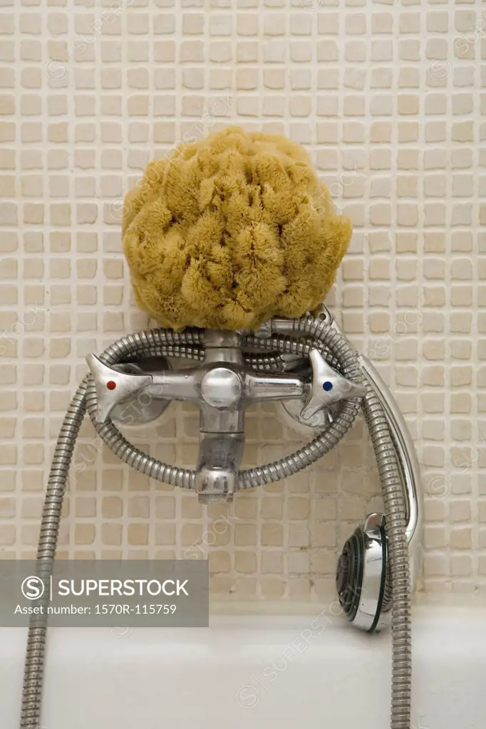 Bath sponge and shower head on faucet