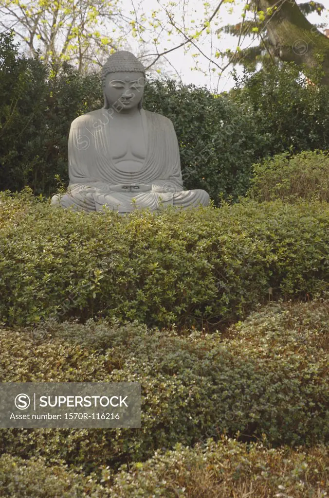 A Buddha statue in a garden