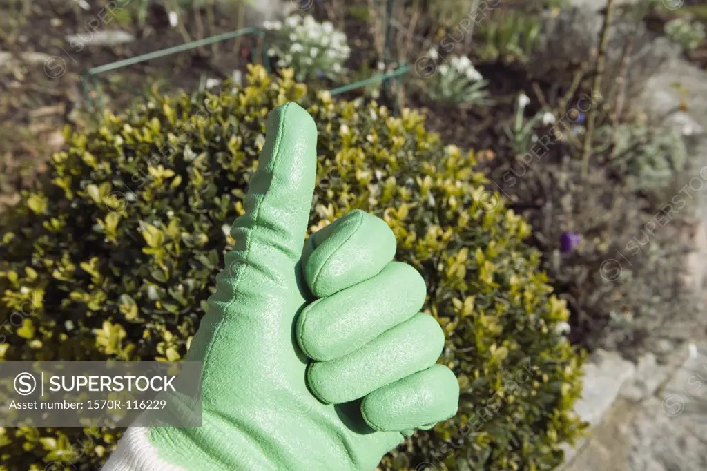 Hand wearing a gardening glove showing thumbs up