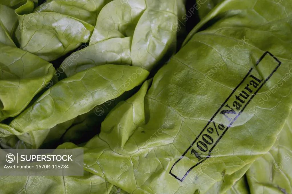 Butter lettuce stamped '100% Natural'