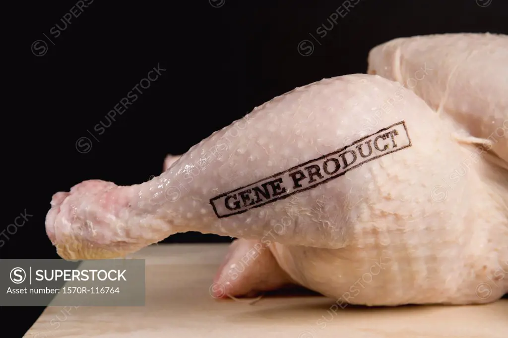 A raw chicken stamped 'Gene Product'