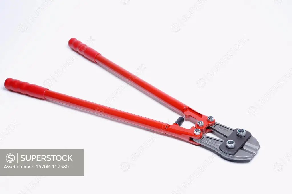 A pair of bolt cutters