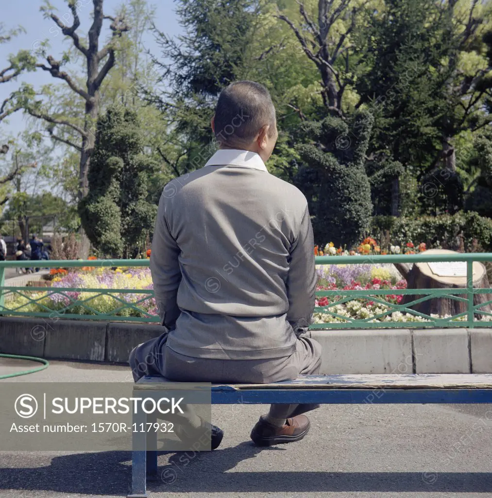 Rear view of a man sitting on a park bench