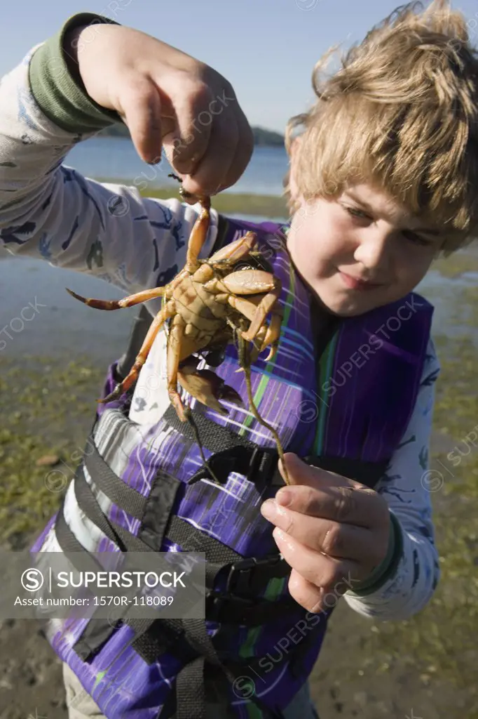 A young boy holding a crab on the beach