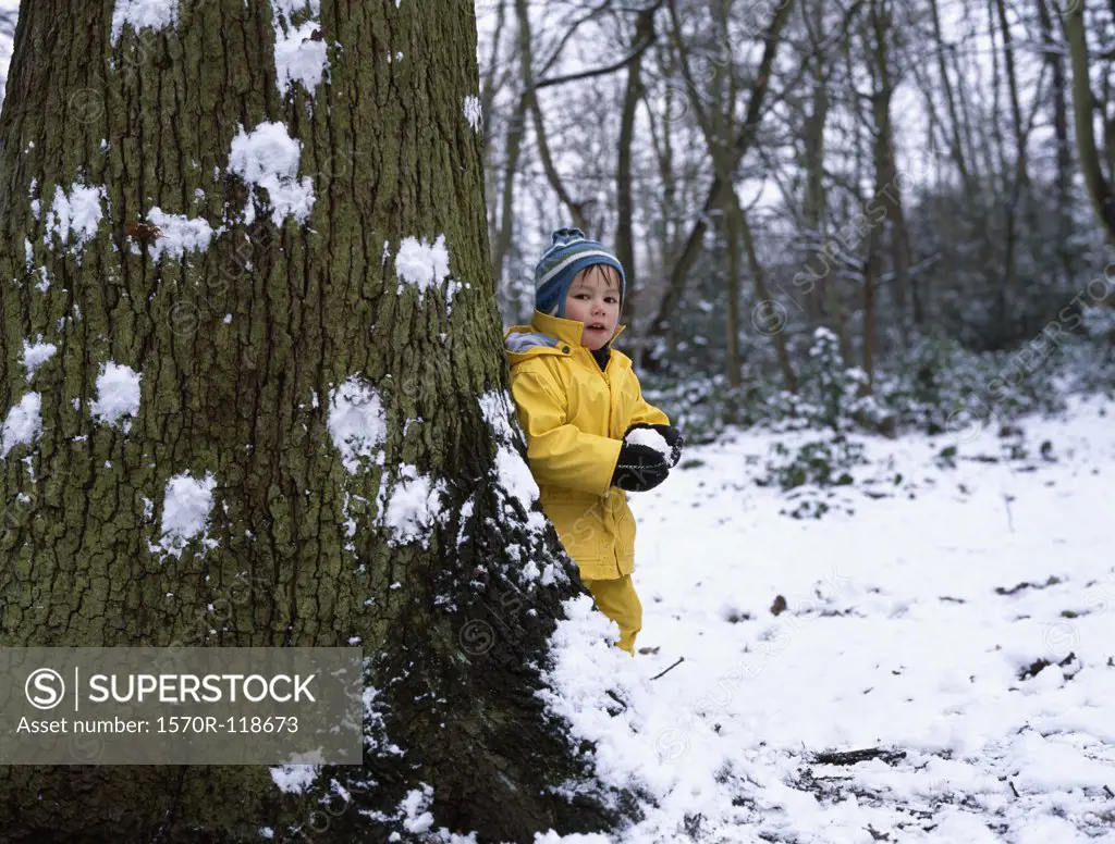 A young boy holding a snowball and standing behind a tree