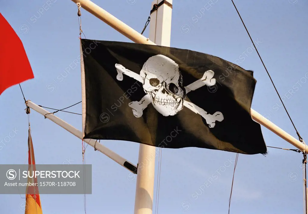 A skull and crossbones on a flag
