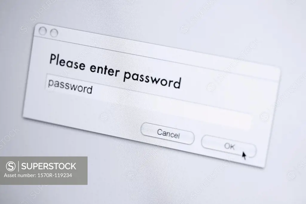 Password message on computer screen
