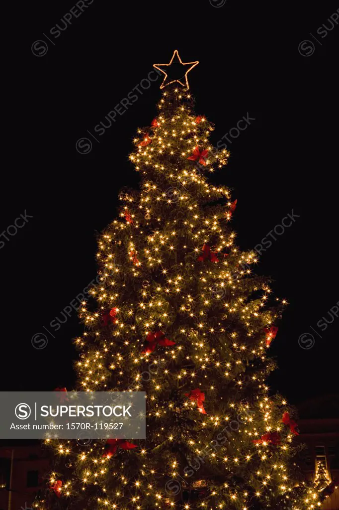 Illuminated Christmas tree at night 
