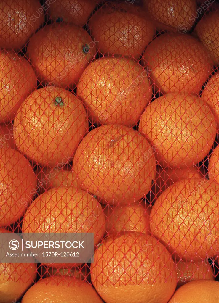 Pile of oranges under netting