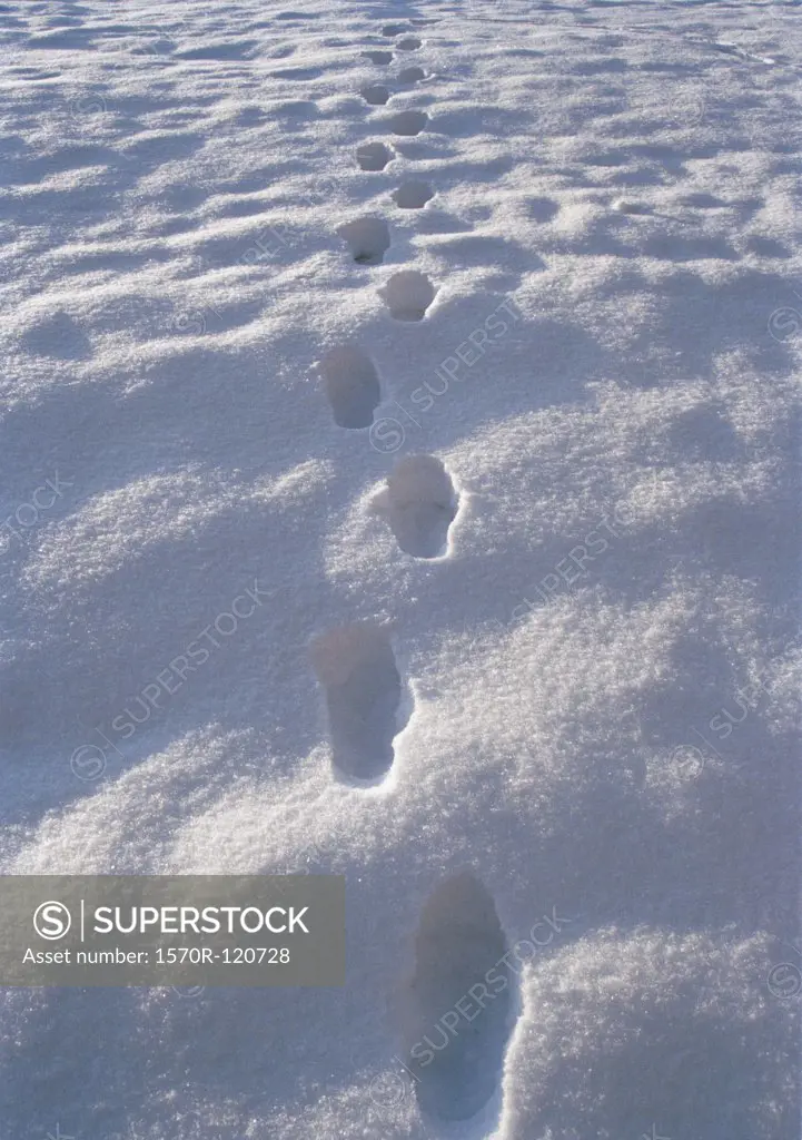 Trail of footprints in the snow
