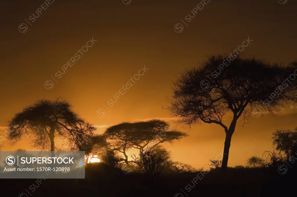 Sunset in Africa