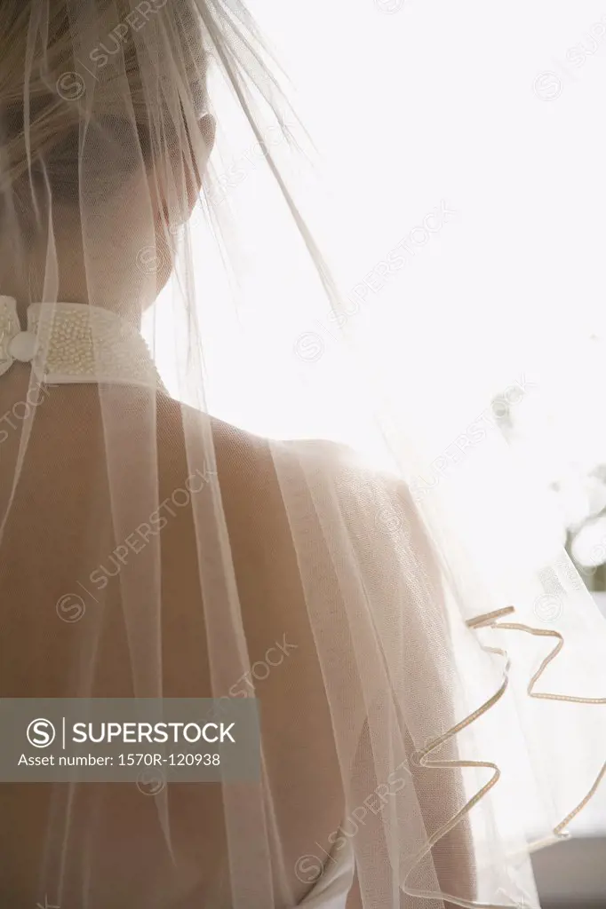 Rear view of a bride wearing a veil and a wedding dress