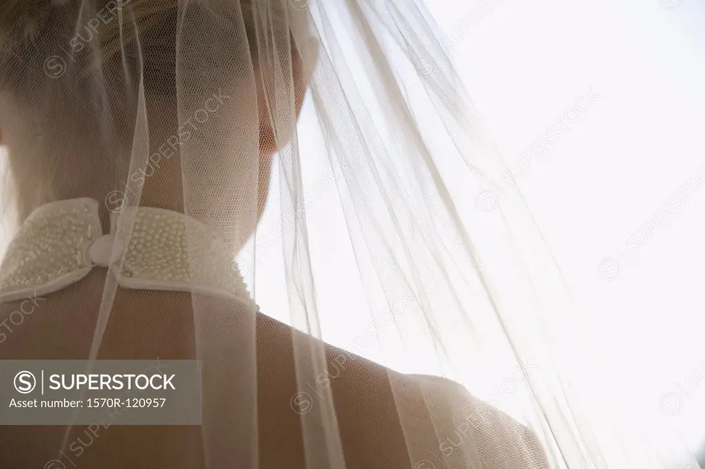 Rear view of a bride wearing a veil and a wedding dress