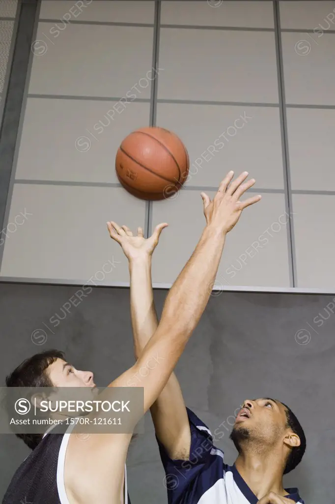 Two Basketball players reaching for a basketball