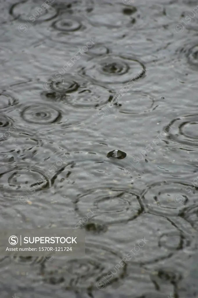 Raining falling on water
