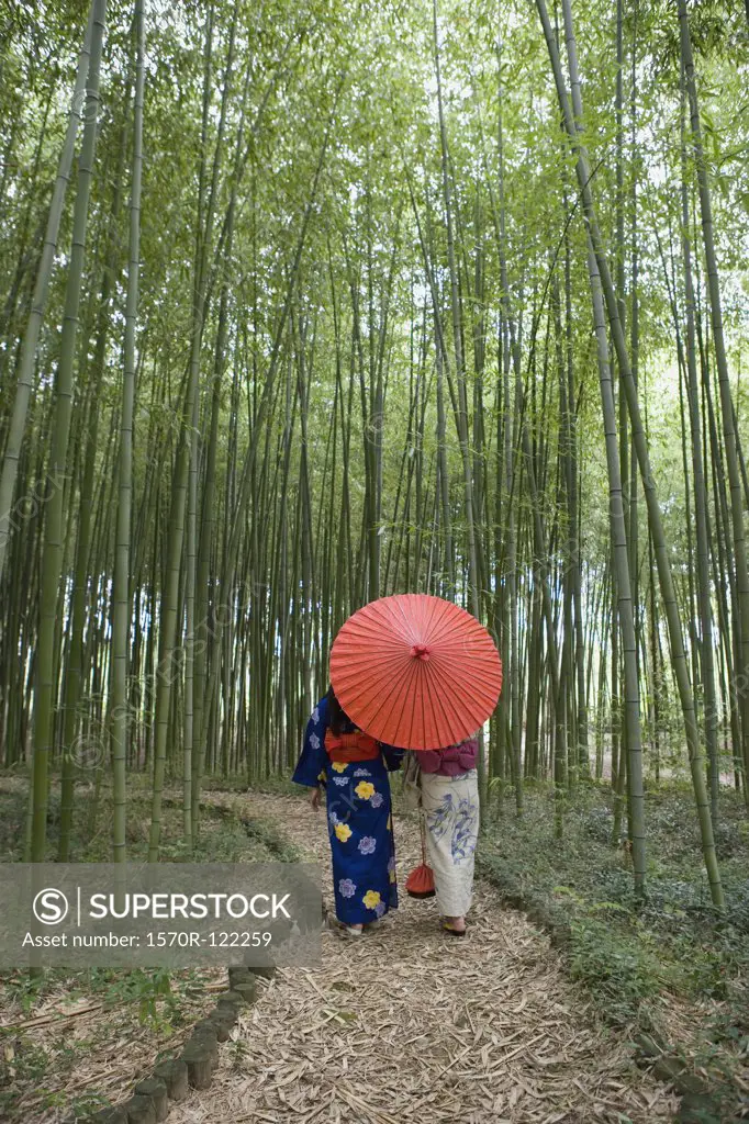 Two woman wearing kimonos walking through a bamboo grove