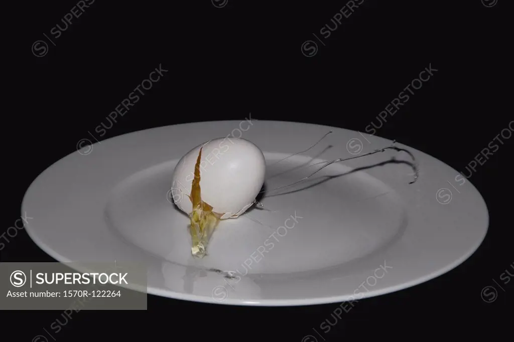 An egg cracking on a plate