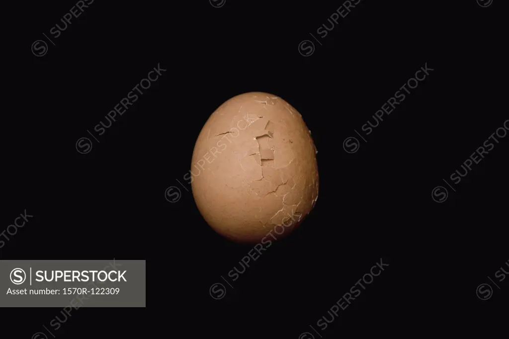 Cracked egg shell
