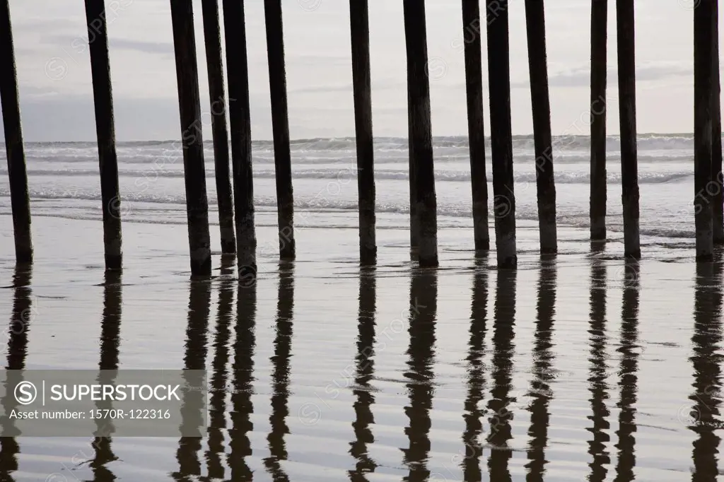 Wooden stilts in the sea