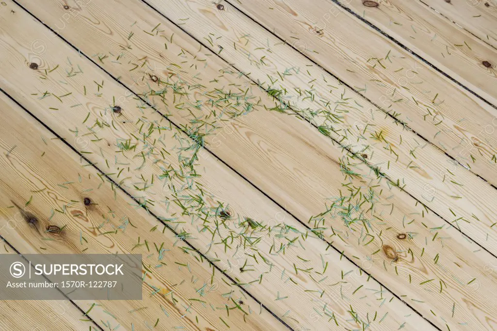 Pine needles scattered on the floor