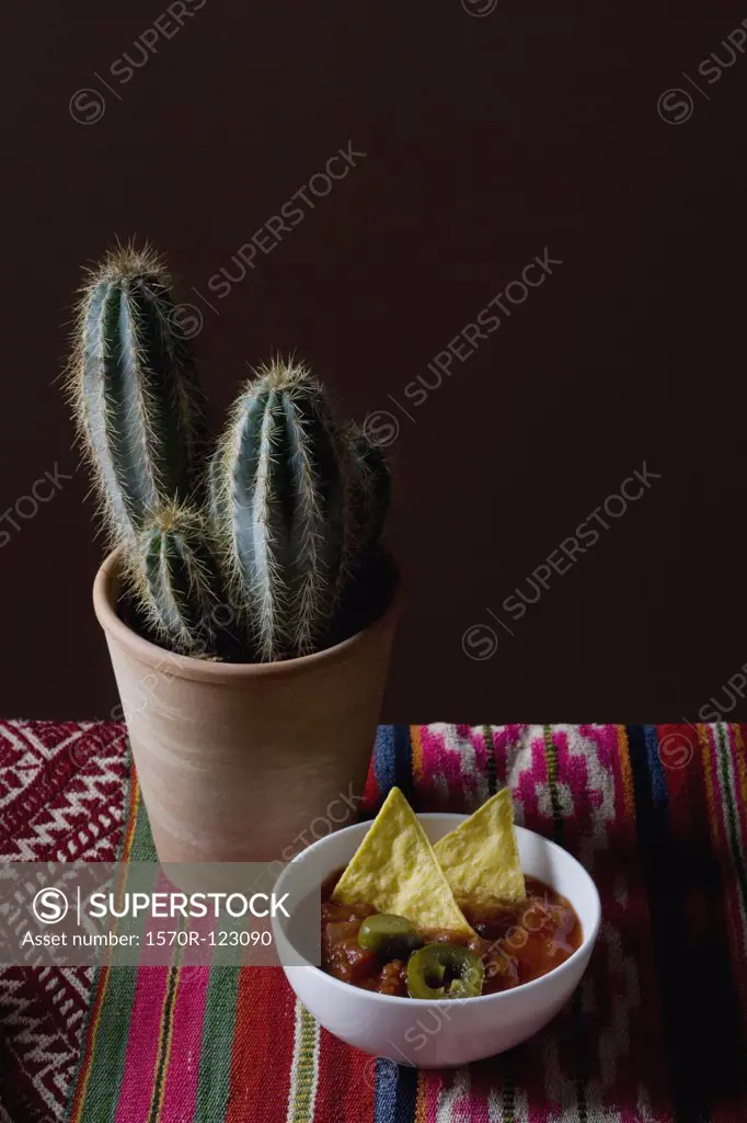 Stereotypical Mexican Culture still life