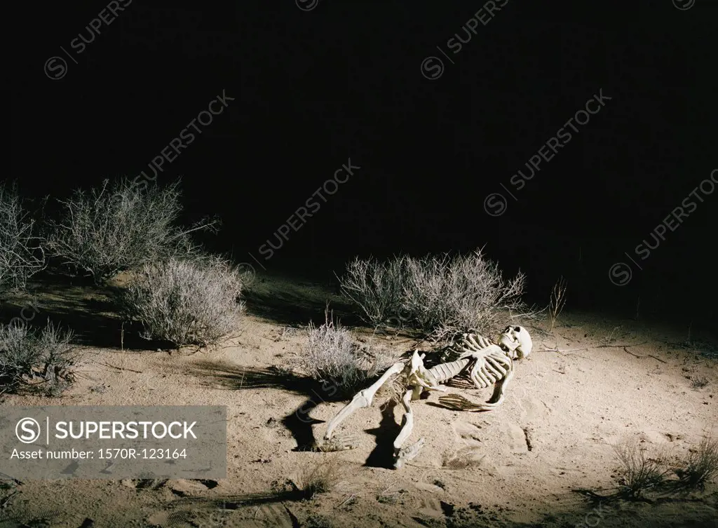 A skeleton in the desert, night