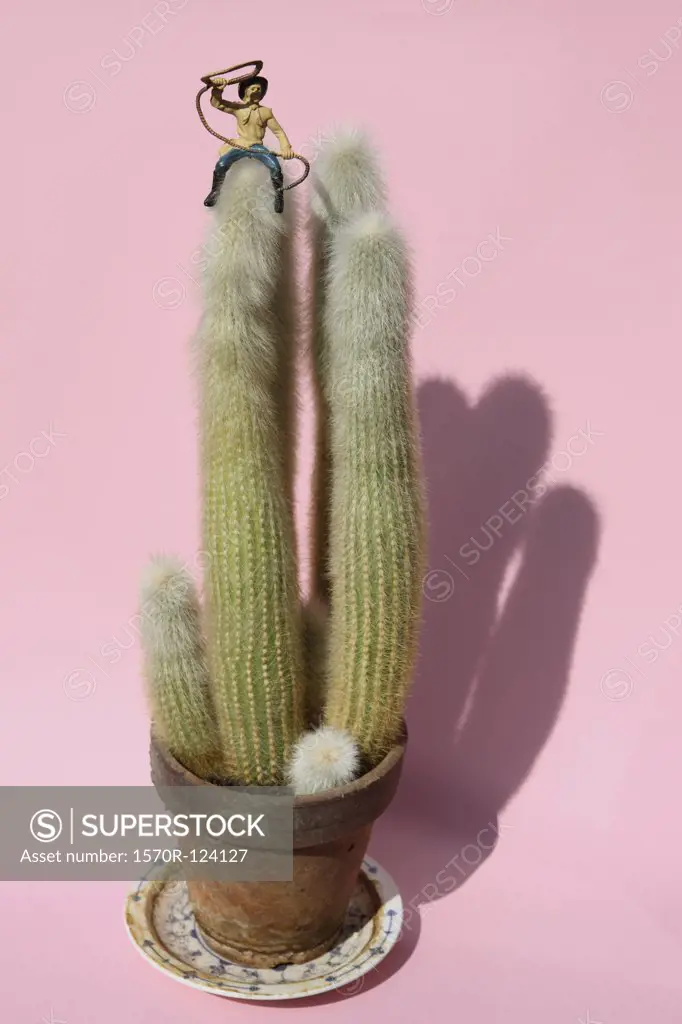 A toy cowboy riding atop a cactus plant