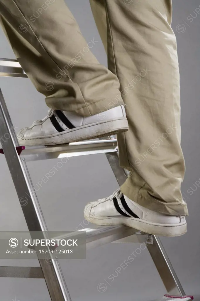 A person climbing a ladder