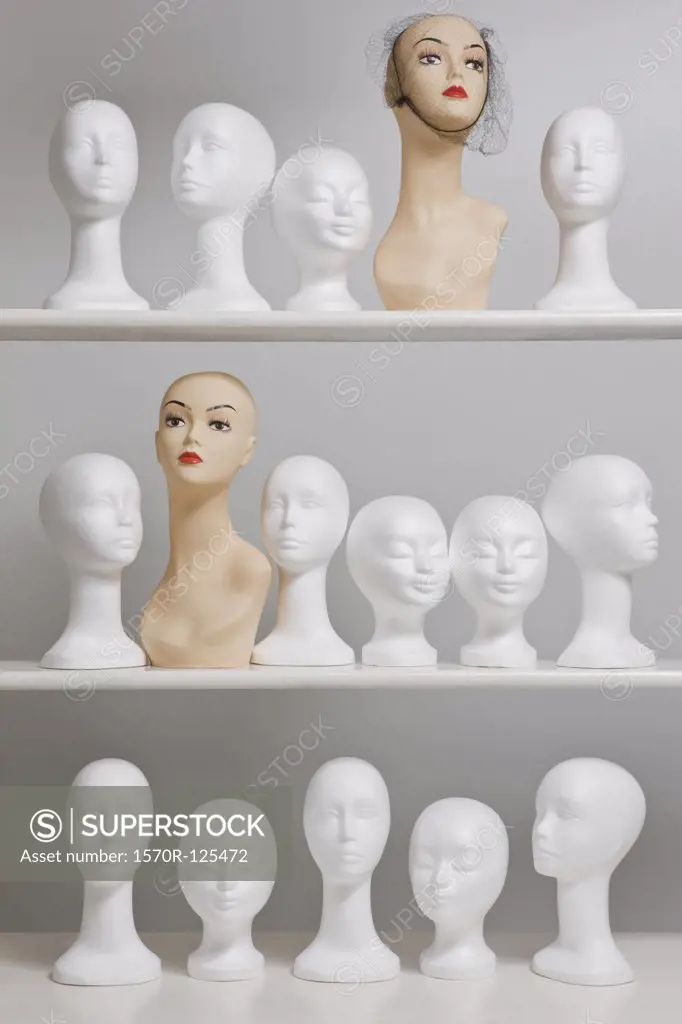 Mannequin busts on shelves