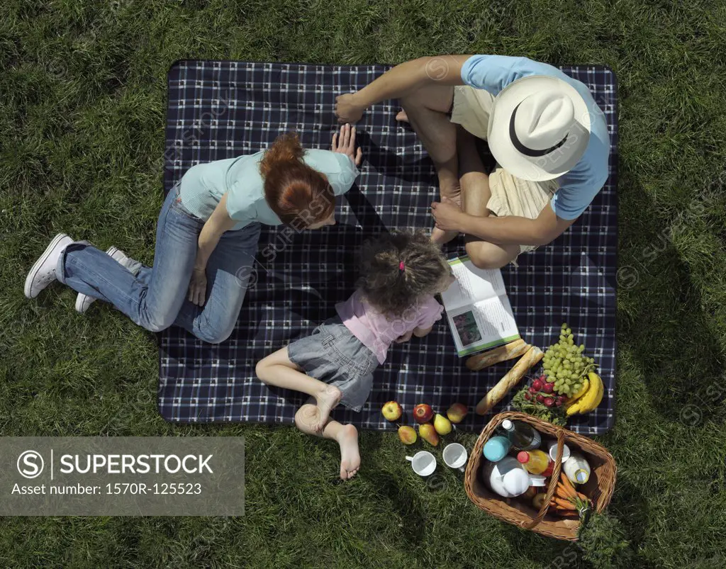 Family having a picnic on grass