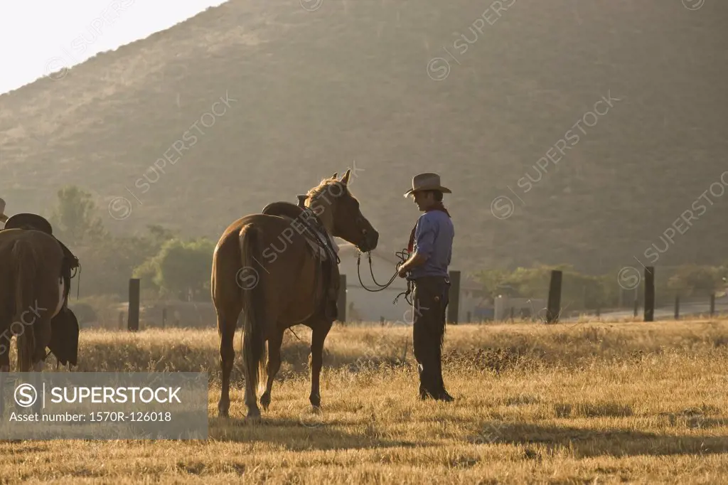 A cowboy standing in a field with horses