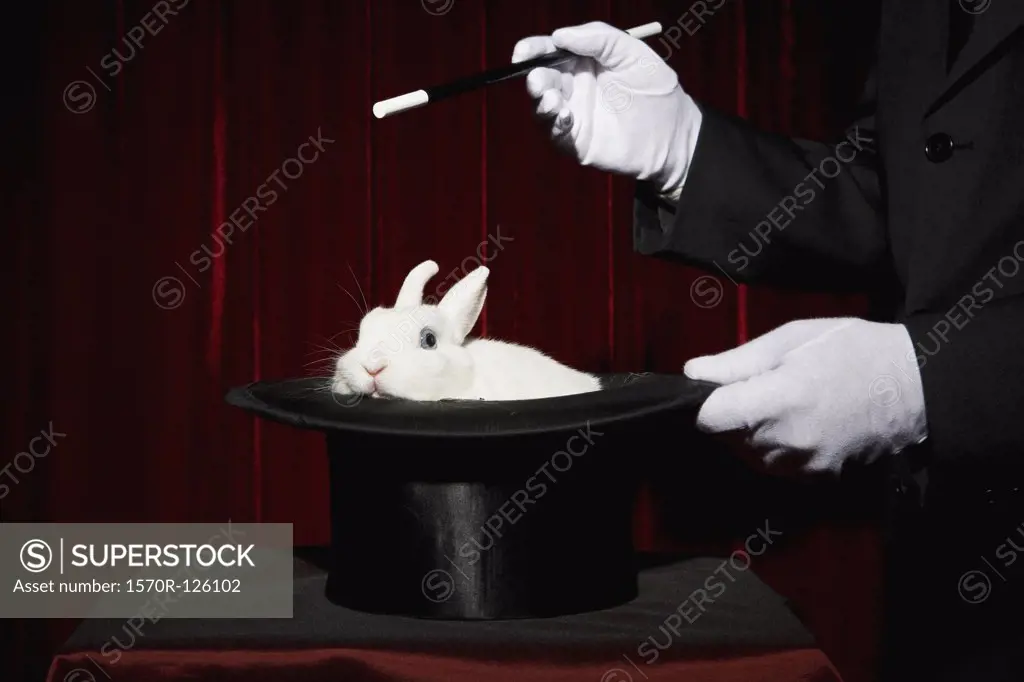 The gloved hands of a magician performing a magic trick with a rabbit in a top hat