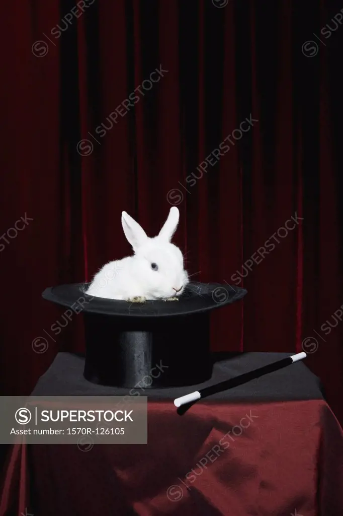 A rabbit in a top hat with a magic wand nearby