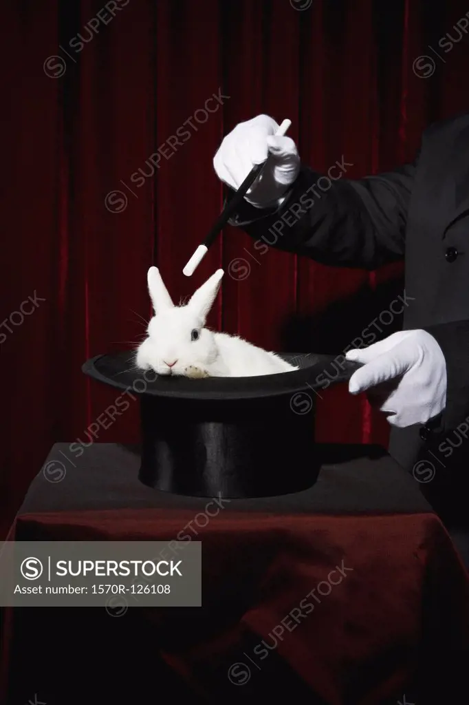 The gloved hands of a magician performing a magic trick with a rabbit in a top hat
