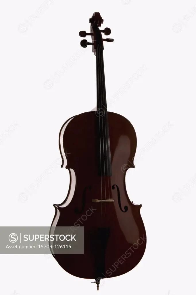 A cello, studio shot