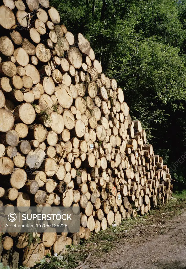 A stack of logs, Austria