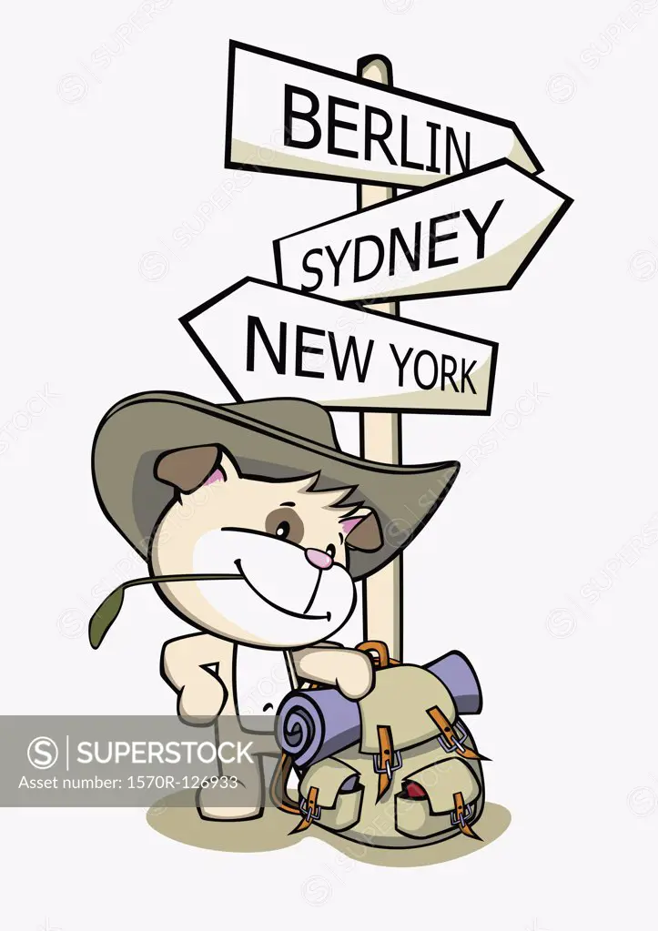 A cartoon dog standing next to a sign post pointing to various capital cities