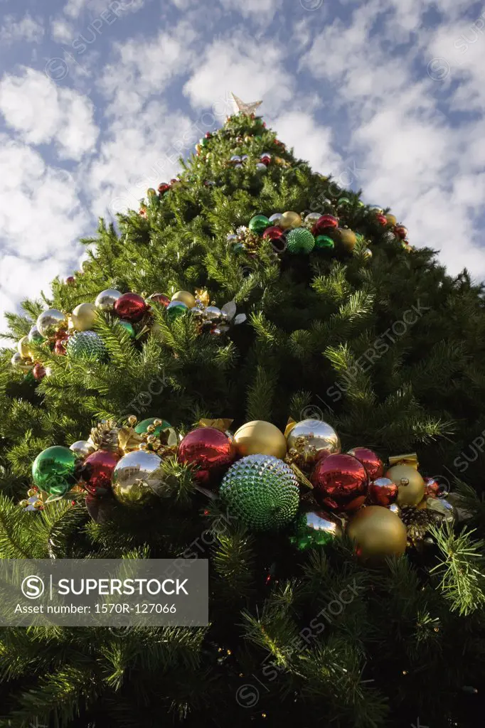 A large decorated Christmas tree, outdoors