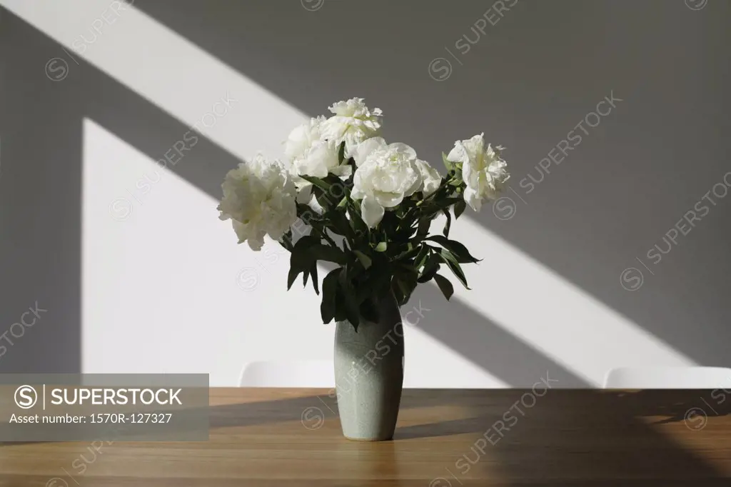 A vase of white peonies (Paeonia lactiflora) on a conference table