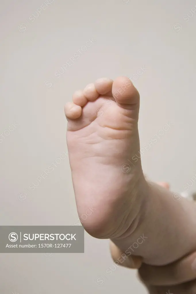 The foot of a baby
