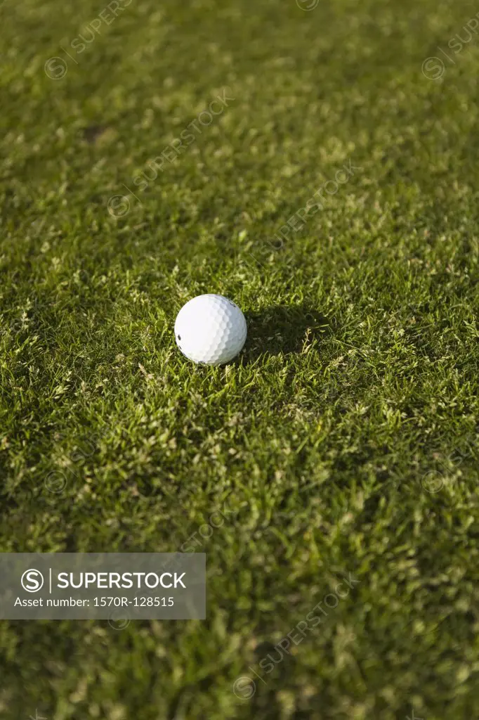A golf ball on grass