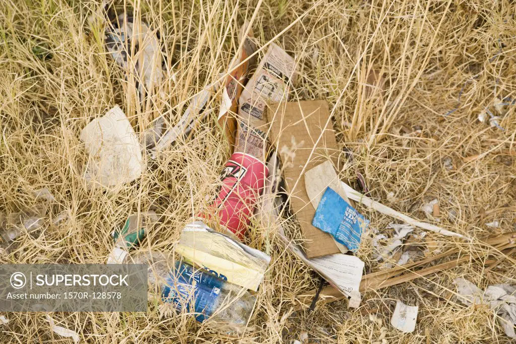 Discarded garbage in nature