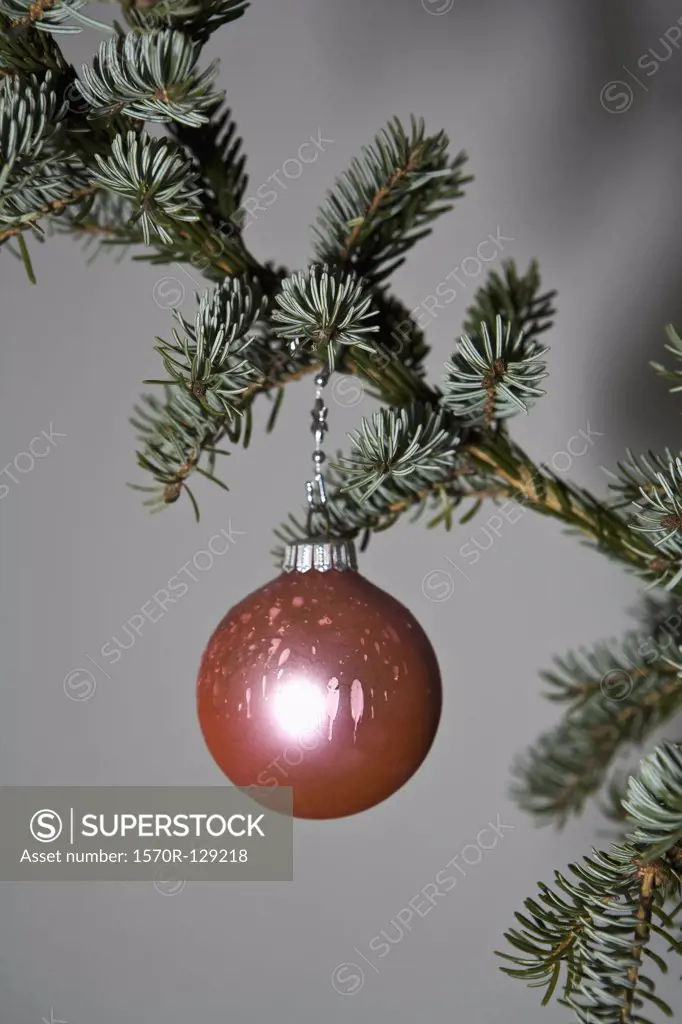 A Christmas ball ornament hanging from a tree branch