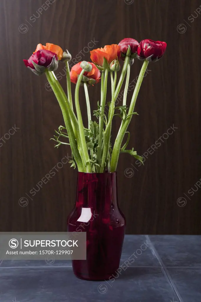 Peonies and Ranunculus flowers in a vase