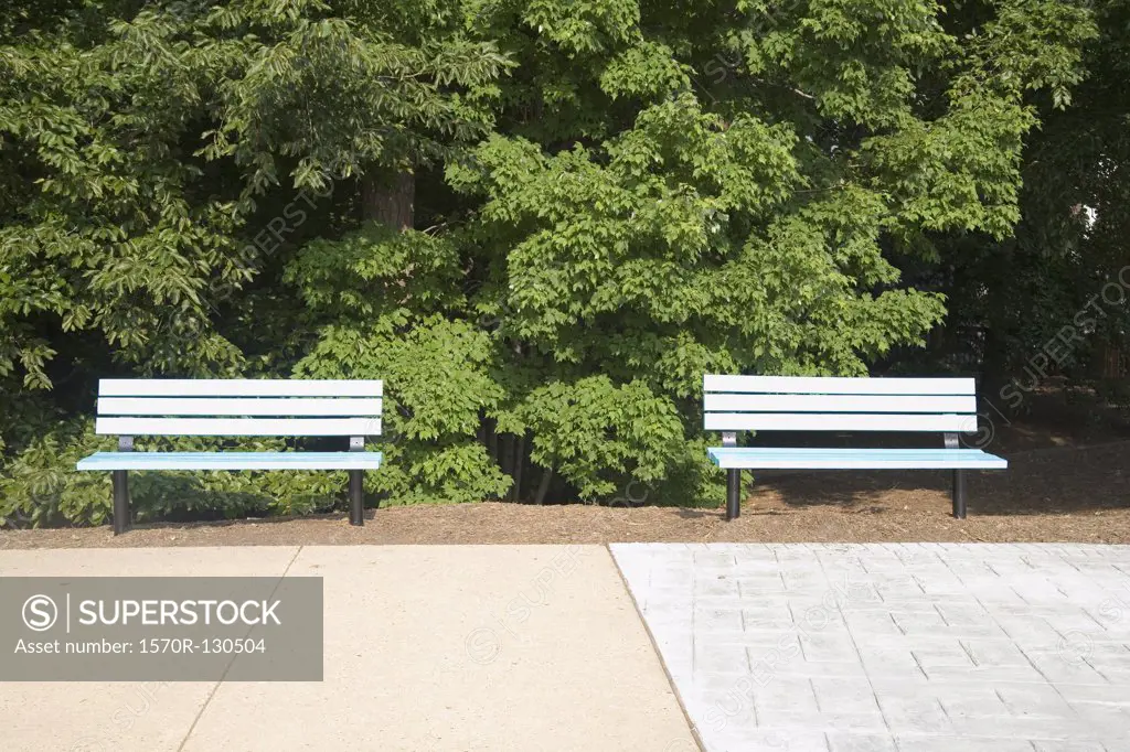 Park benches side by side