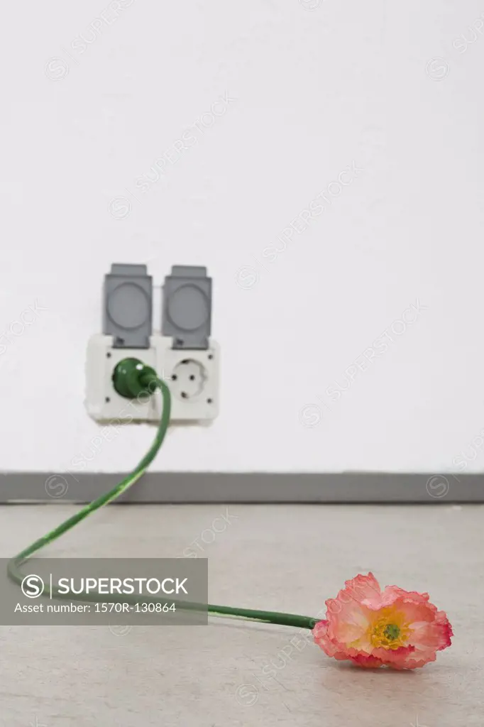 A cord that looks like a flower and stem plugged into an outlet