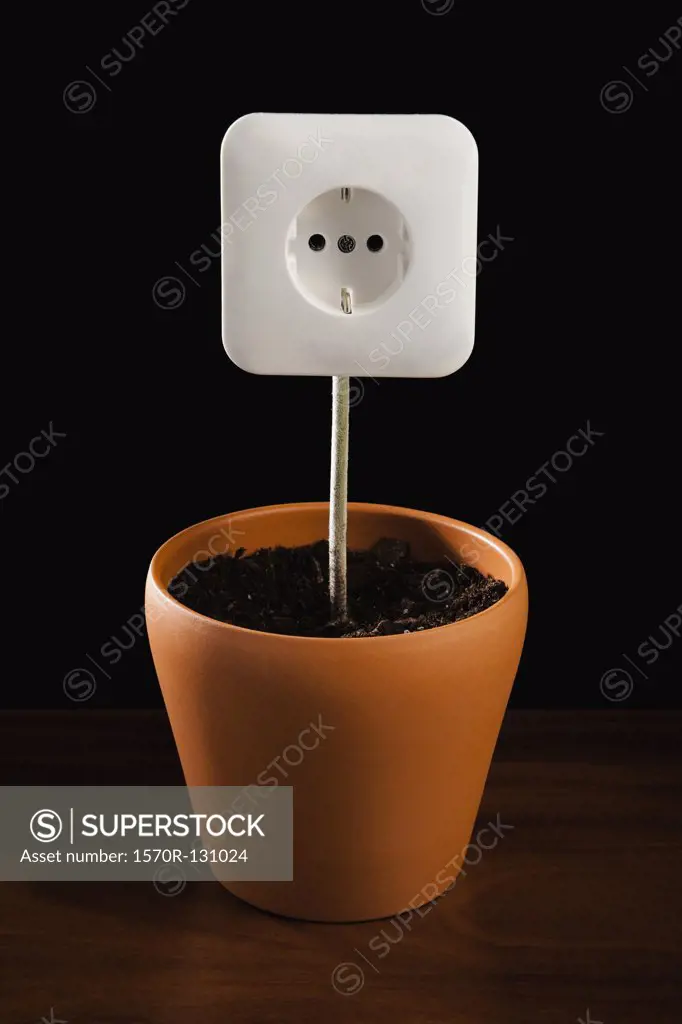 An outlet in dirt in a flower pot