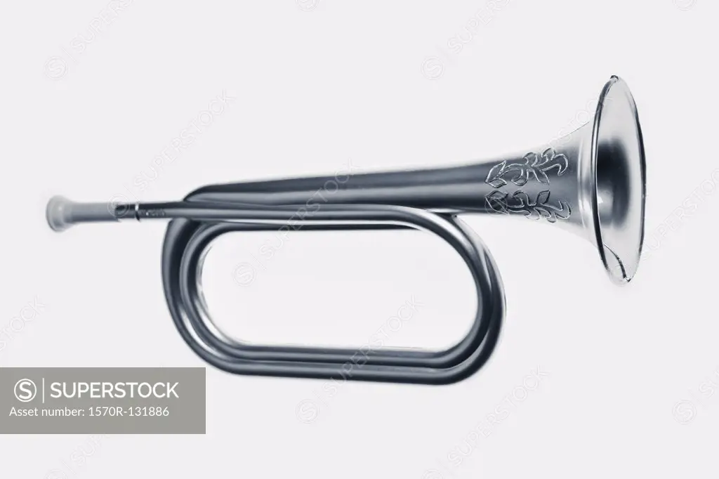 A plastic silver horn